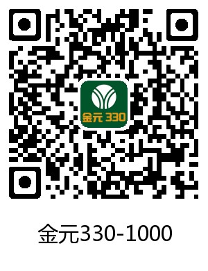 金元330-1000商用中餐灶