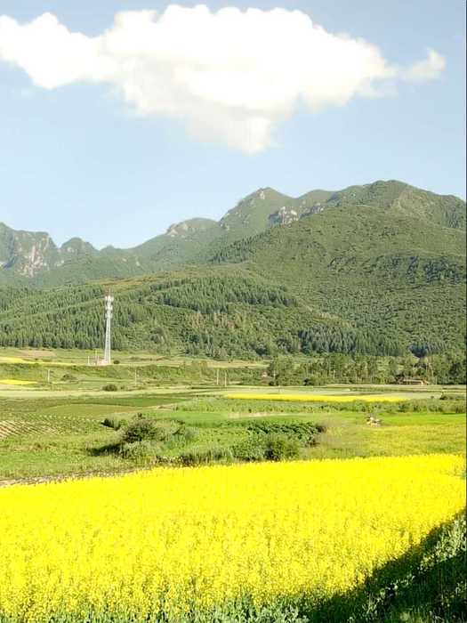 服务万里行沿途风景