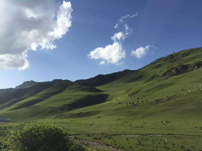 服务万里行沿途风景