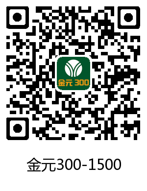 金元300-1500商用中餐灶