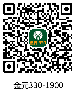 金元330-1900商用中餐灶