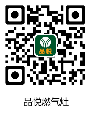 品悦钢化玻璃面嵌入式双灶